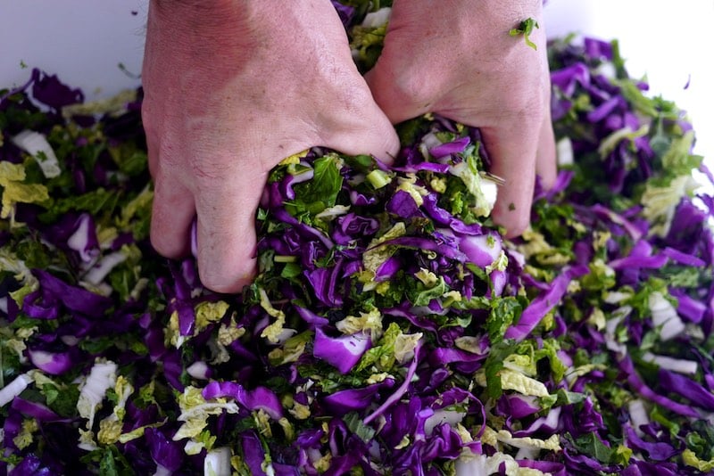 Making simple sauerkraut from whatever greens you've got