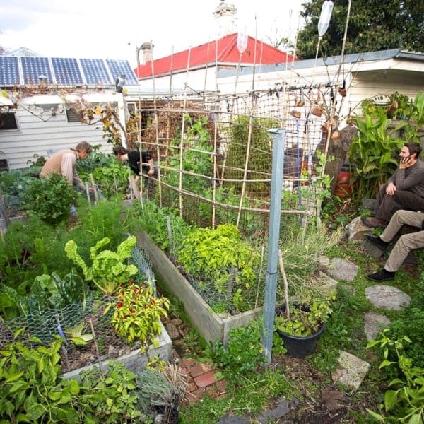 Urban Permaculture