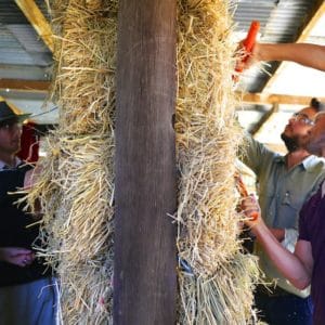Infill strawbale wall construction