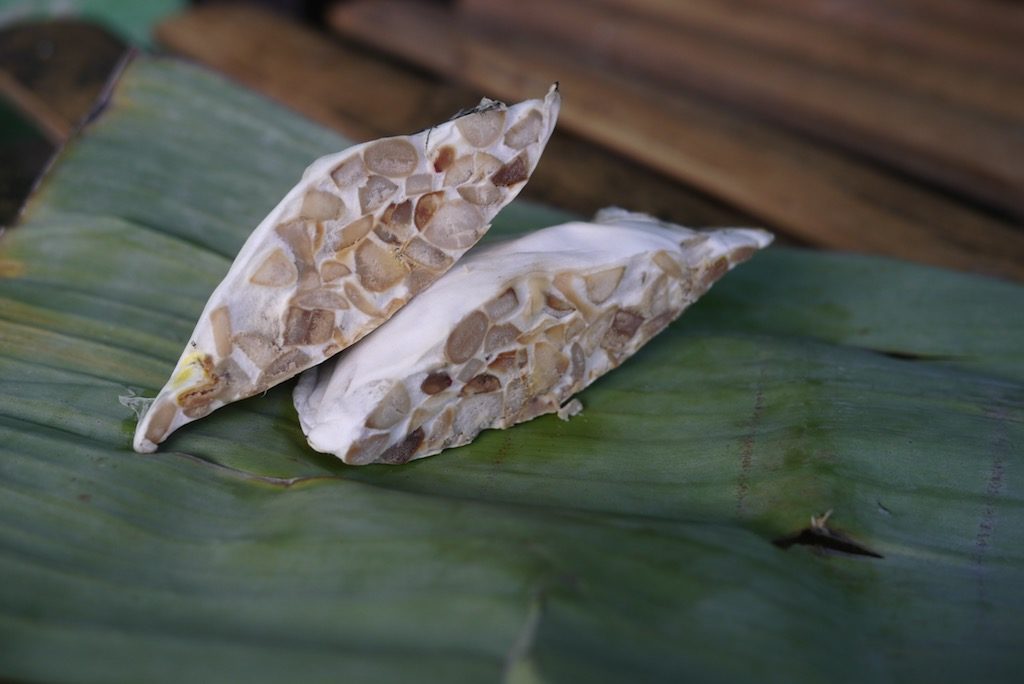 Tempeh Bunguk