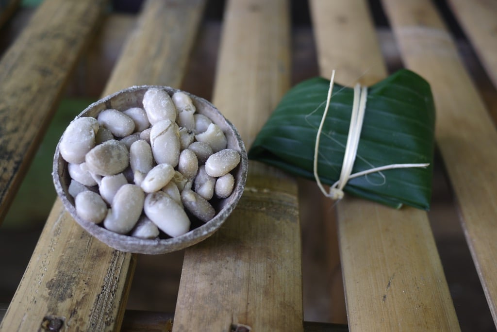 Making Tempeh as food, and village revitalisation Milkwood