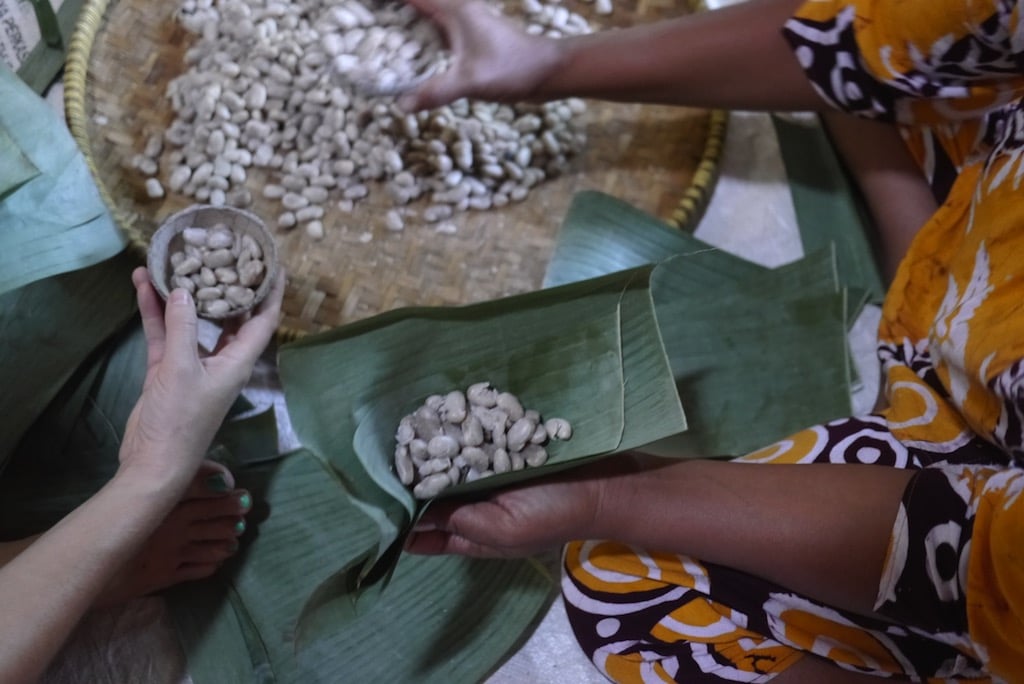 Making Tempeh as food, and village revitalisation Milkwood