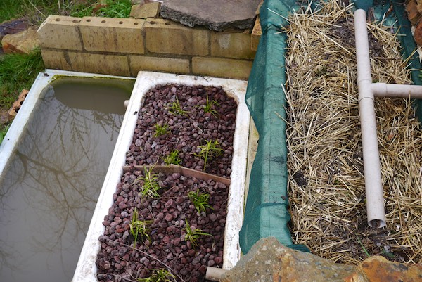 low-tech greywater system