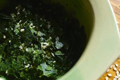 Seaside Sandwich- Foraging + Eating Sea Lettuce 857