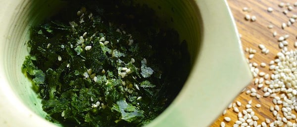 Seaside Sandwich- Foraging + Eating Sea Lettuce 857