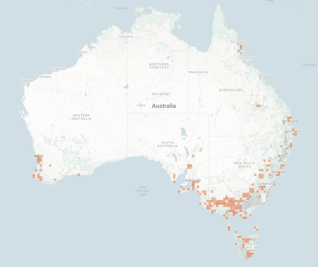 Map of true morel (morchella) distribution in Australia via iNaturalist.