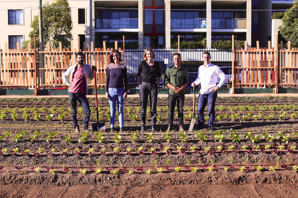 The Dirt on Pocket City Farms Milkwood