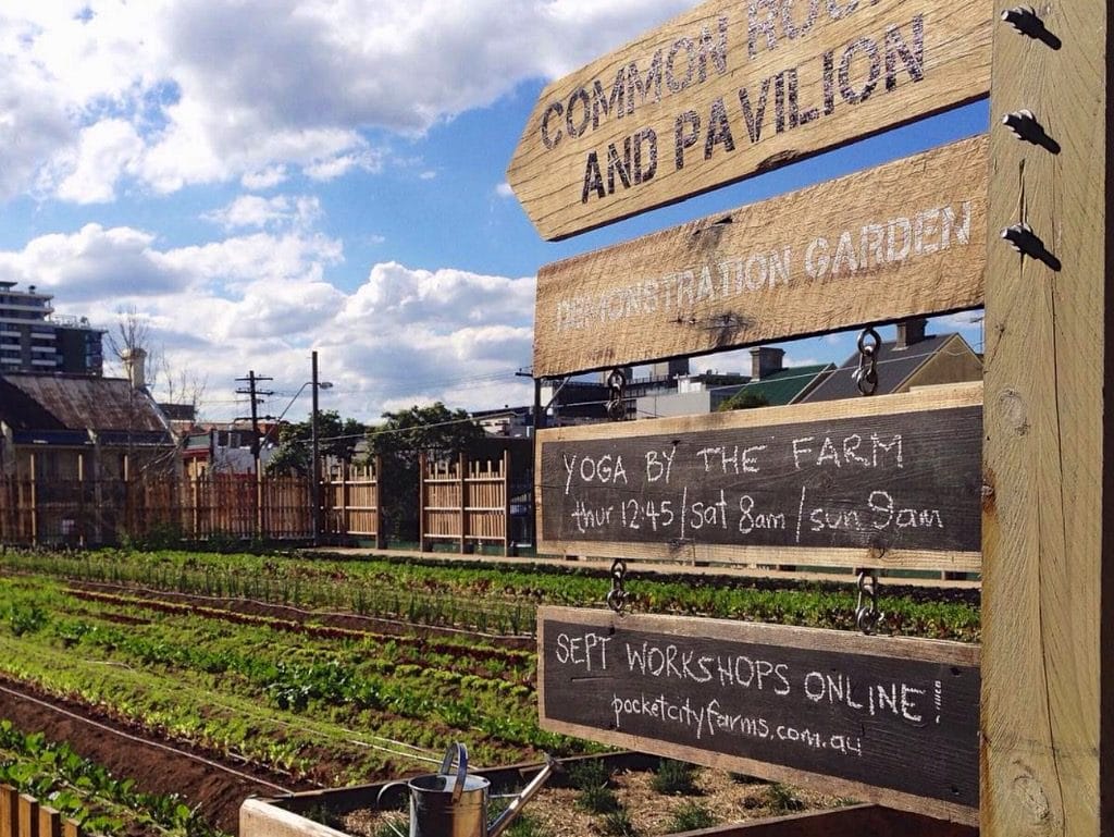 The Dirt on Pocket City Farms Milkwood