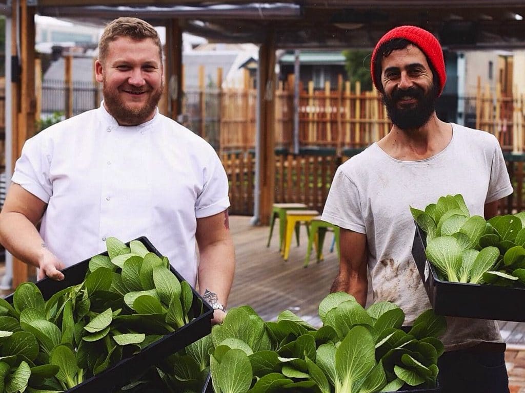 The Dirt on Pocket City Farms Milkwood