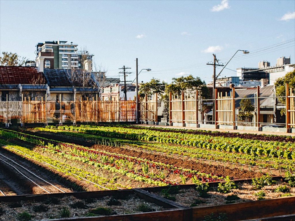 View Pocket City Pics