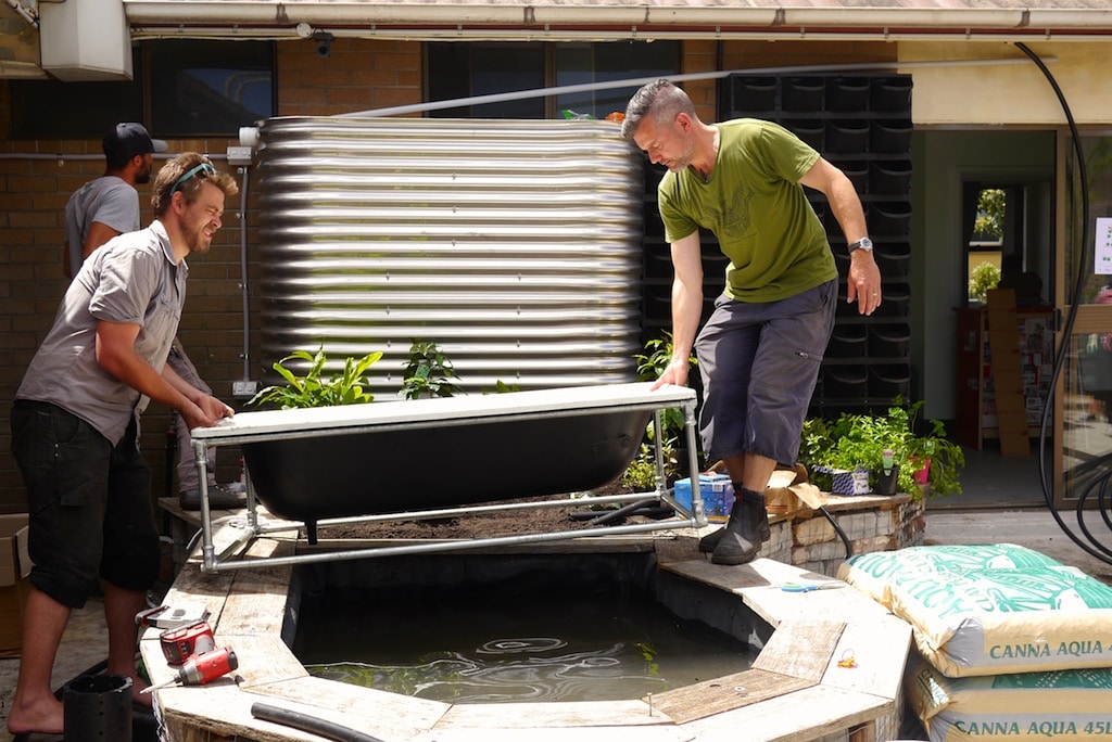 Aquaponics