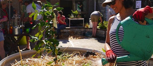 ig-107-rooftop-gardens-first-2-years-970