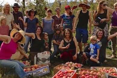 growing abundance 1006