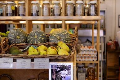 Starting a Community Food Co-op 1049