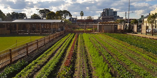 Intro to Organic Market Gardening: March 2018: Pocket City ...