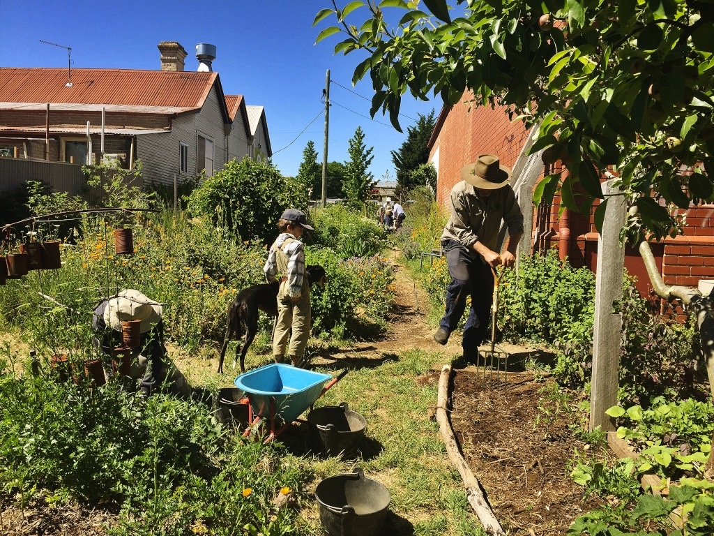 Milkwood - Permaculture Courses for real life.