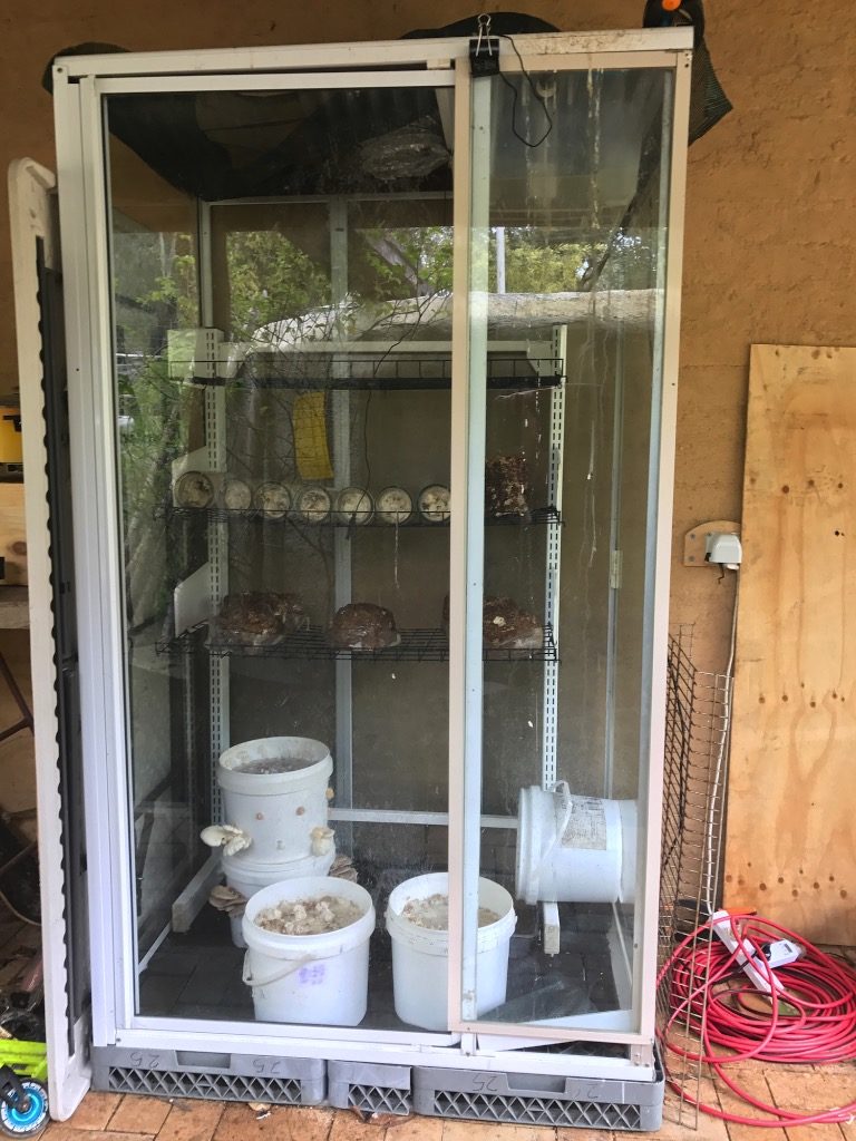 Making An Off Grid Diy Mushroom Fruiting House