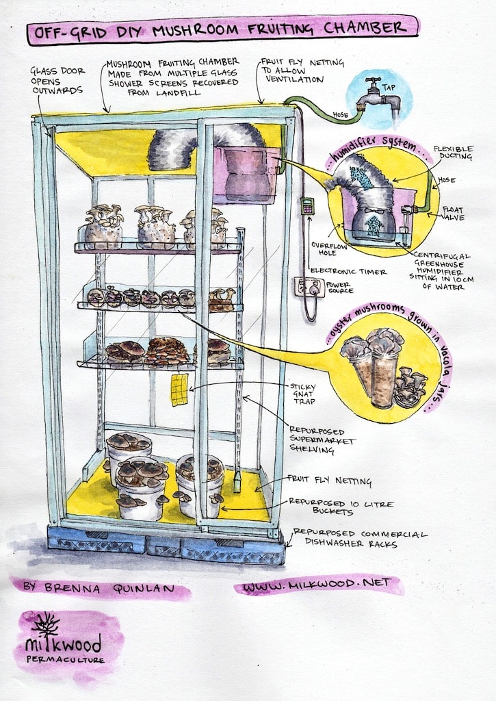 Making an Off-grid DIY Mushroom Fruiting House