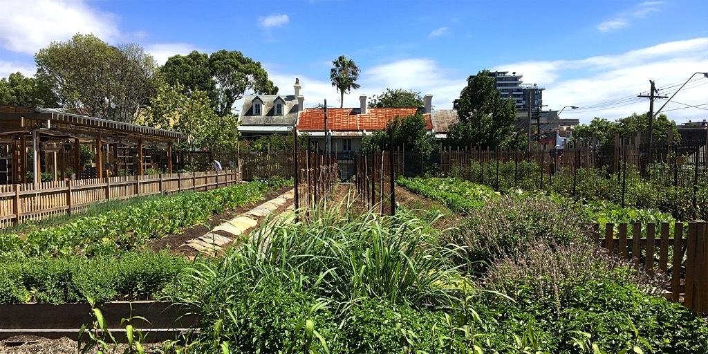 Street Farming Masterclass Feb 2018, Pocket City Farms