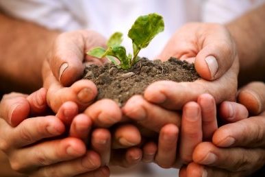 Holistic Decision Making 2642