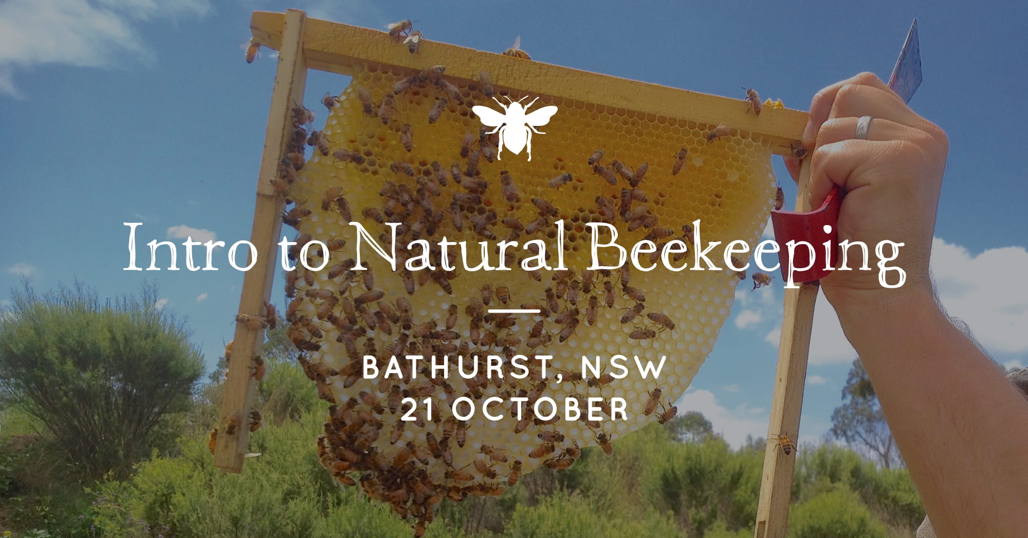 Intro to Natural Beekeeping 21 Oct Bathurst NSW
