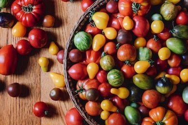 Milkwood tomatoes banner web 3847