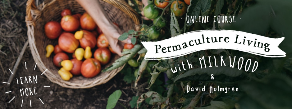 Permaculture Living - online course