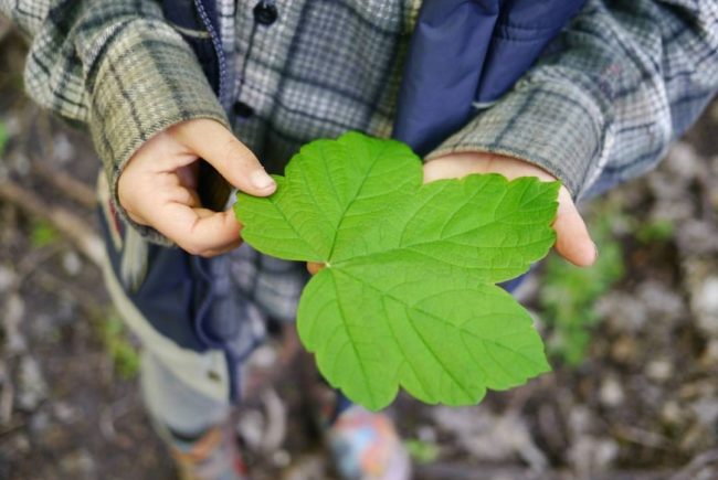 1911-Climate-communities-1-of-3