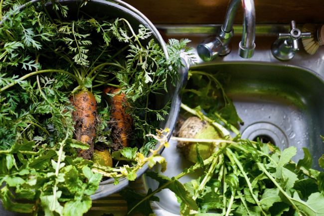 pandemic-permaculture-perspective-1