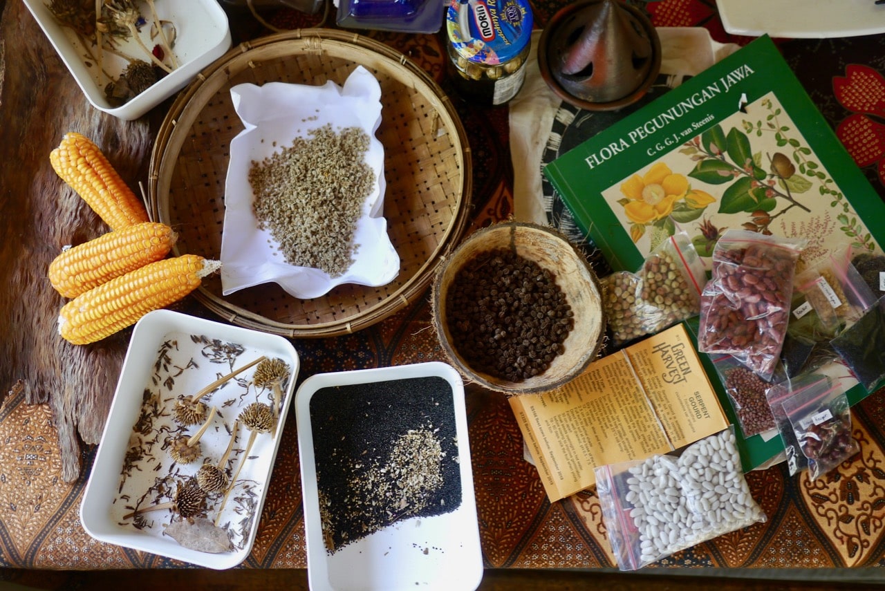 Video Seed Saving Basics & Starting Your Own Seed Bank