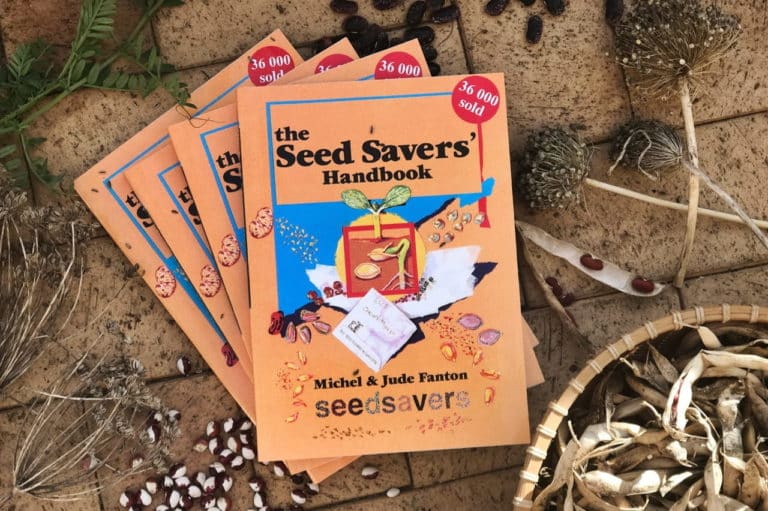 Video Seed Saving Basics & Starting Your Own Seed Bank