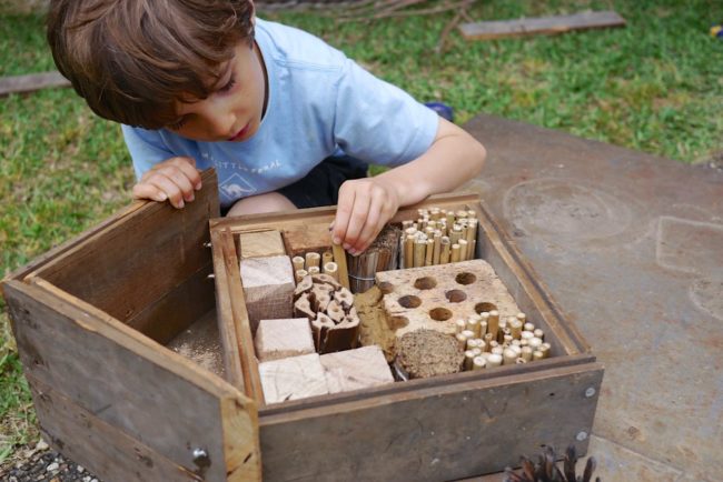 Making an insect hotel 1