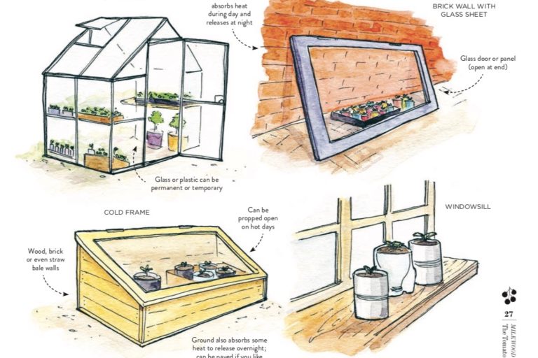 mini-greenhouses-1
