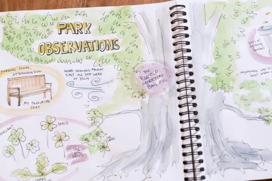 garden diary – 1 (2)