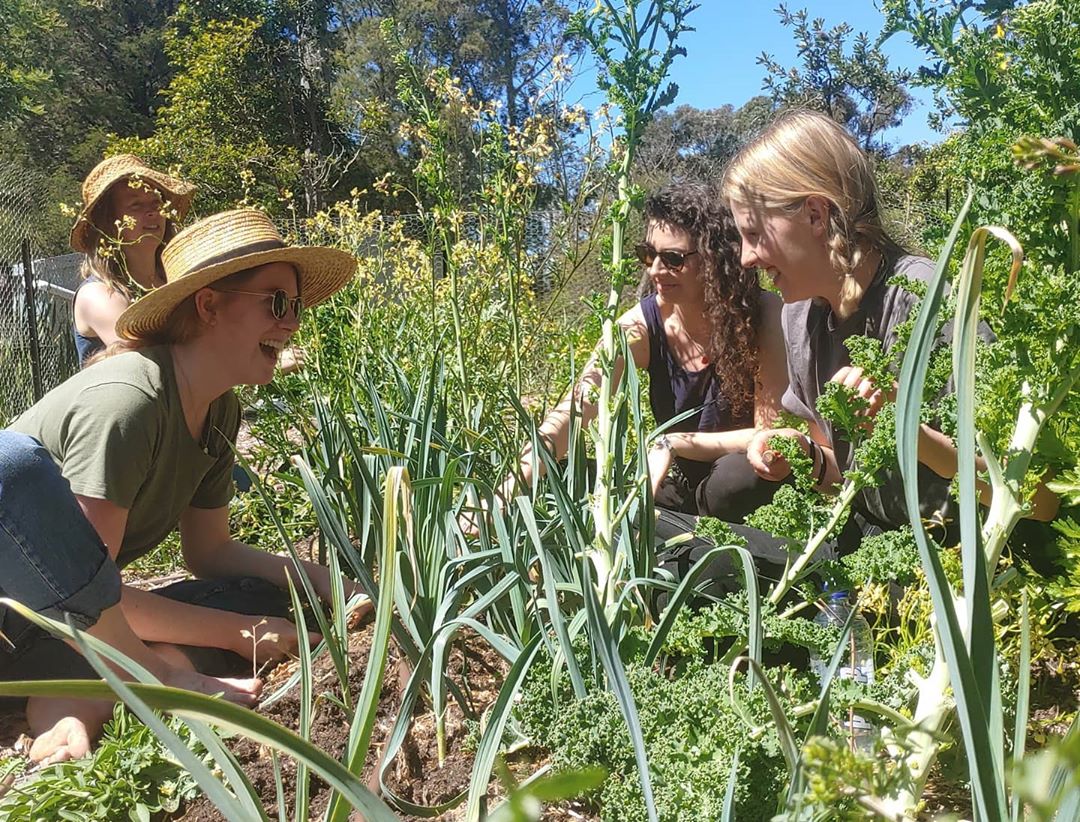 Farmers and volunteers working on one of the backyard gardens for the Farm-it-Forward program