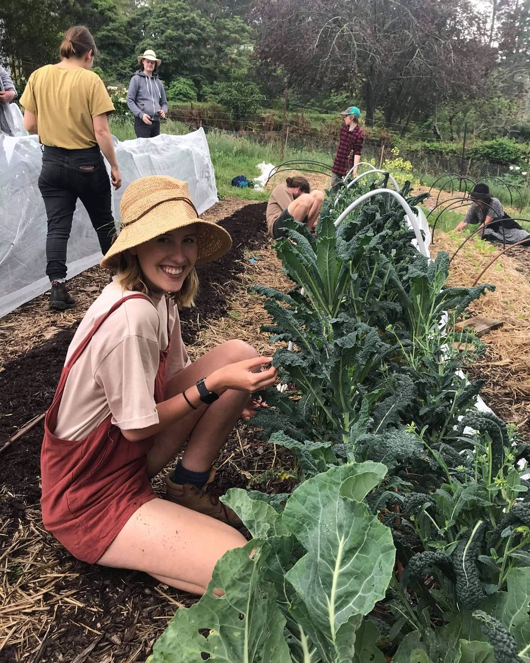 Farmers and volunteers working on one of the backyard gardens for the Farm-it-Forward program