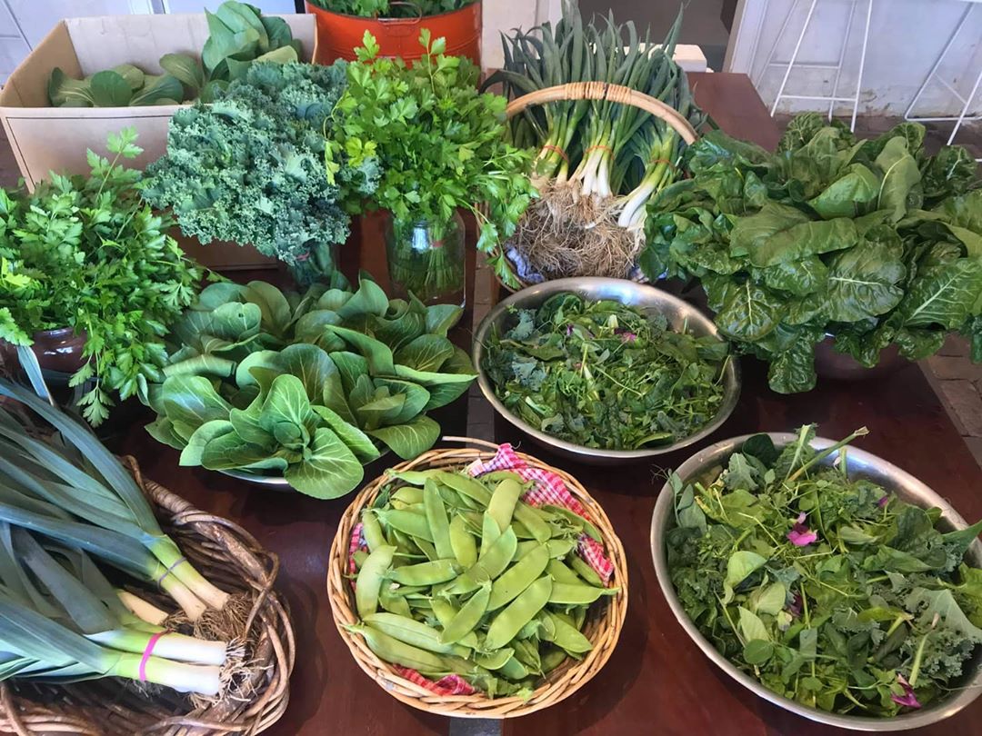 Freshly harvested produce