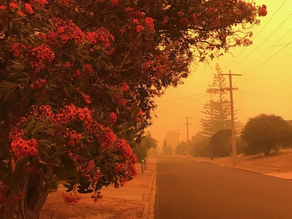 Bushfire haze on a quiet street