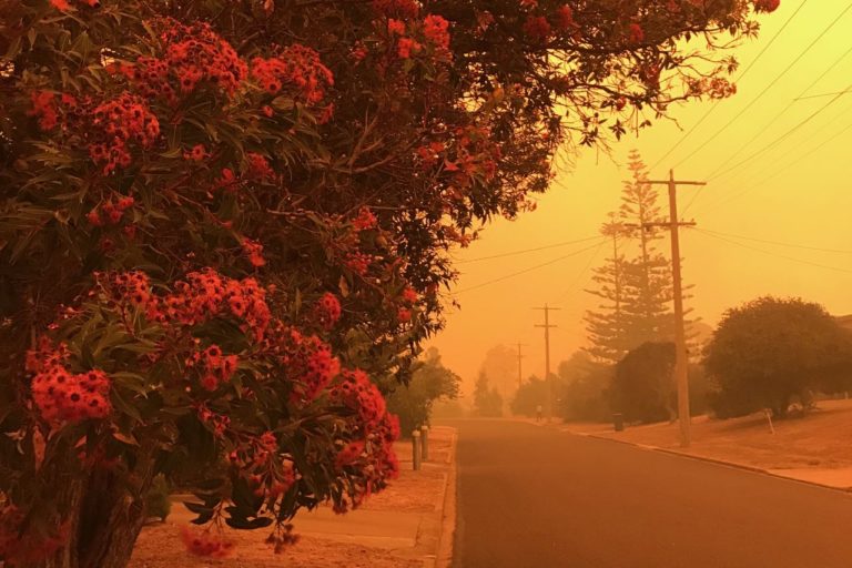 la-nina-bushfire-resources-1-1