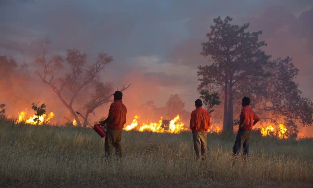 Kija Rangers conduct prescribed burning in the East Kimberley in 2019. Photograph: Guardian/Kimberley Land Council