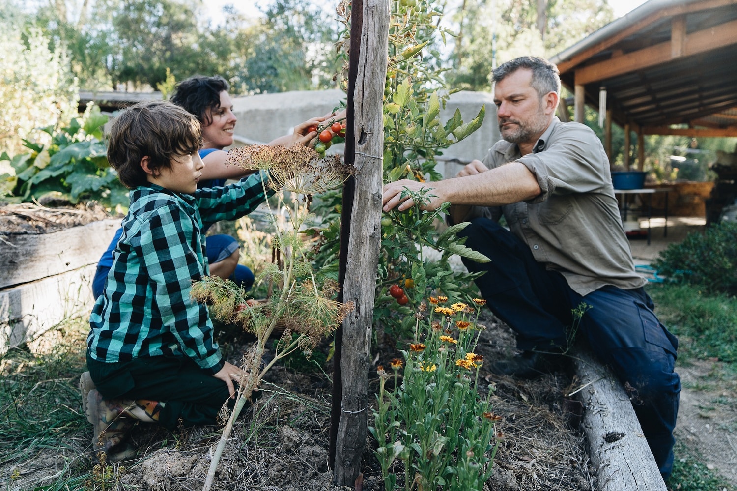 What is permaculture? Nick and Kirsten explain...