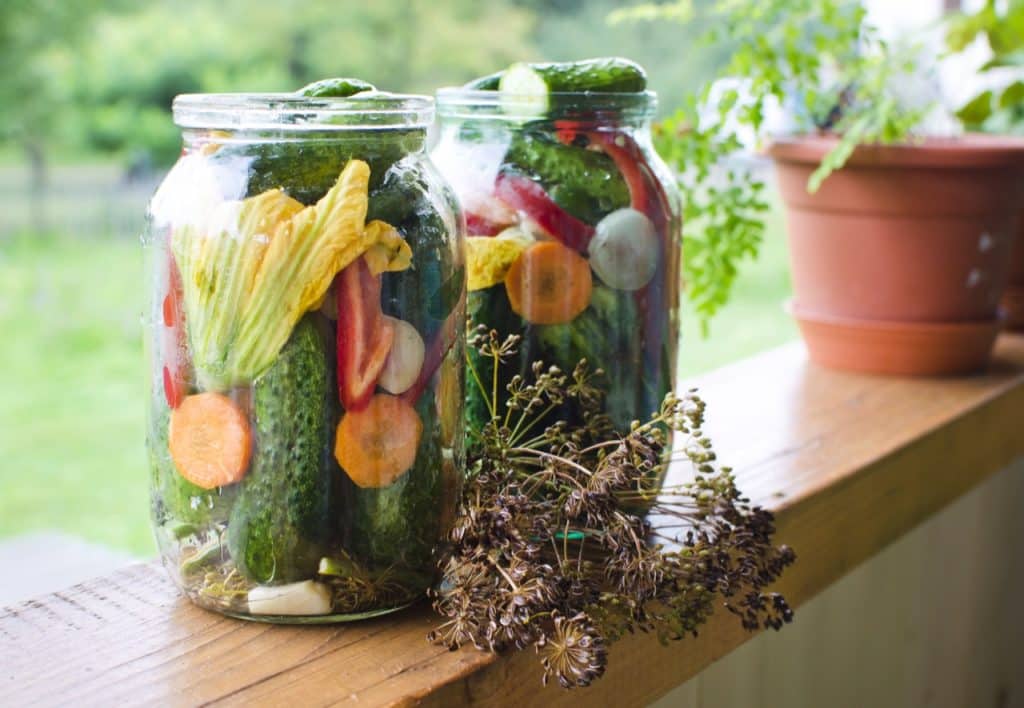 Vegetable ferments