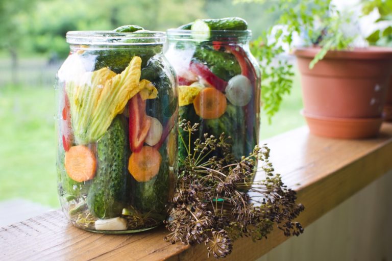 ferments-1