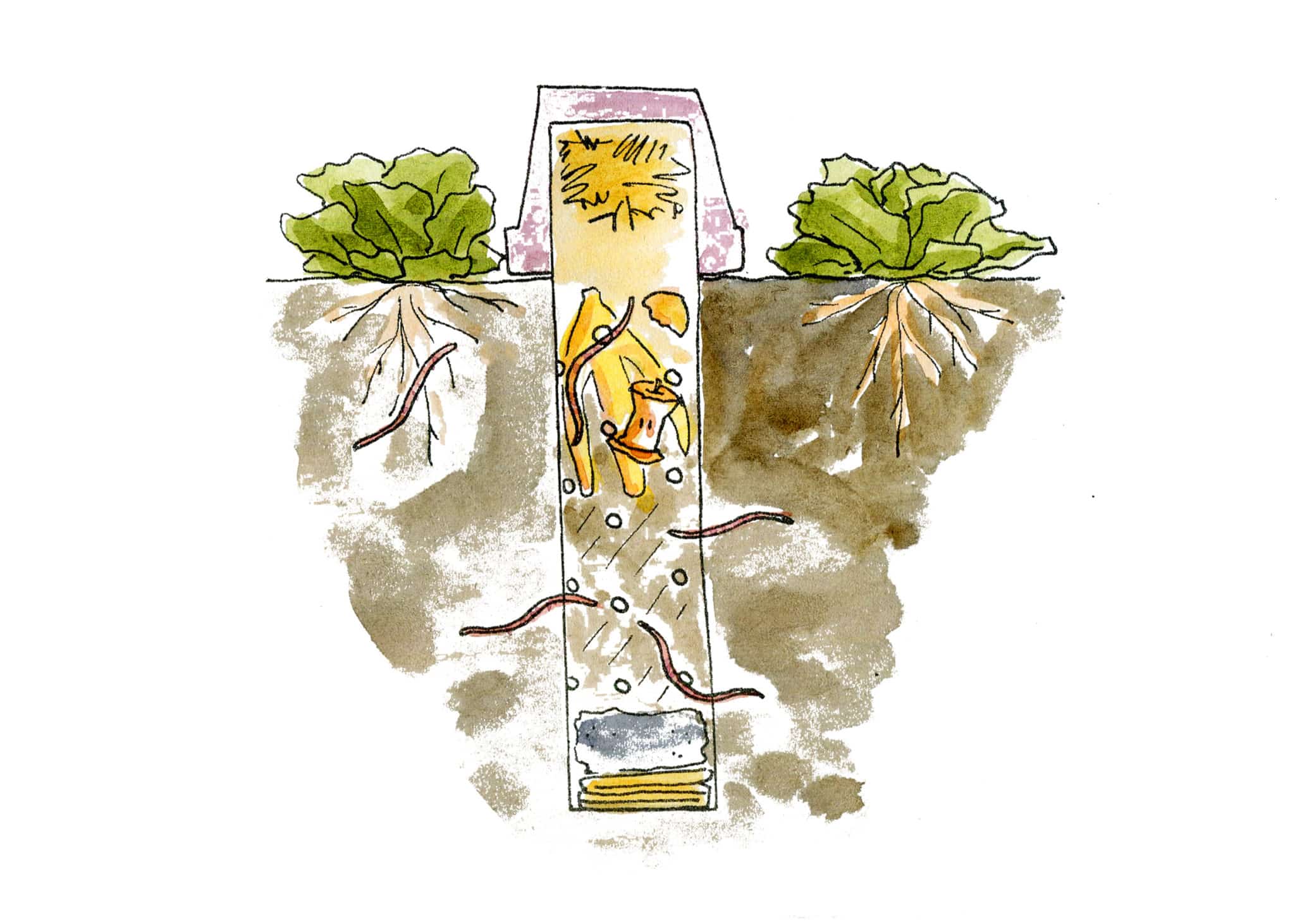 Video The Beginner’s Guide to Worm Farms Milkwood permaculture