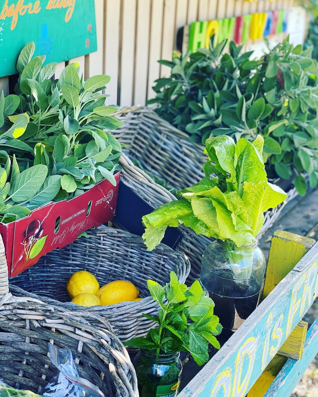 Fresh produce at the Food is Free laneway.