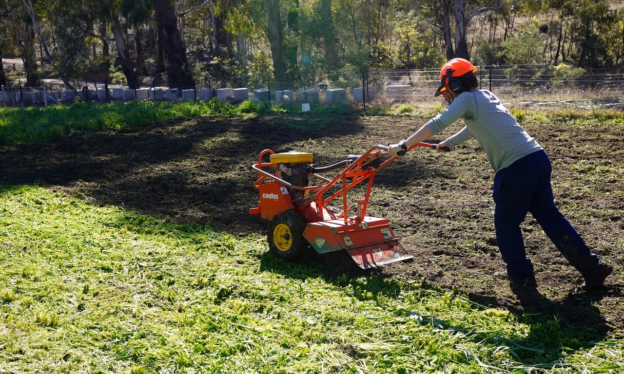 Green Manure How to Grow and Use for your BestEver Soil & Veggies