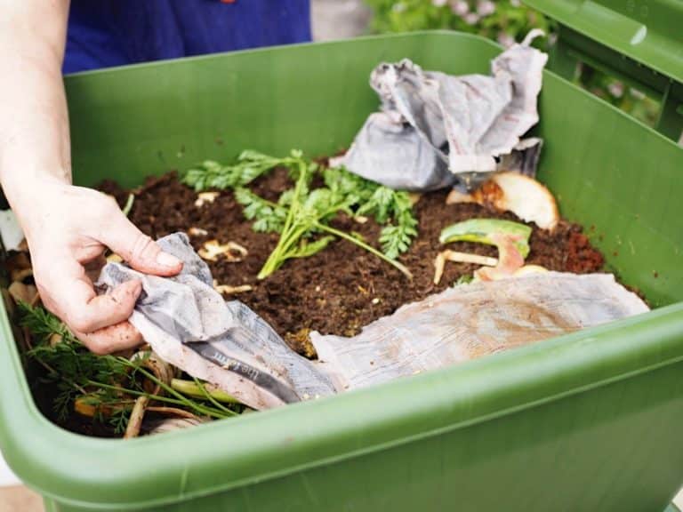 Video The Beginner’s Guide to Worm Farms Milkwood permaculture courses, skills + stories