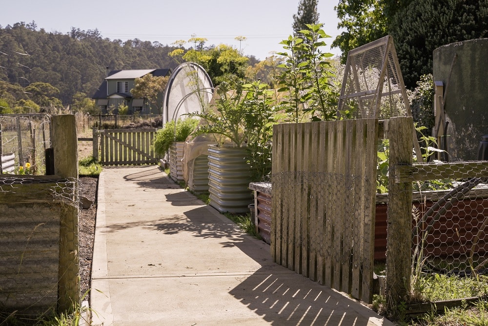 Paths of at least a metre wide help to ensure Grant can access his garden when using his wheelchair.