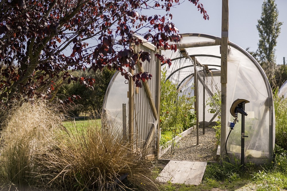 A polytunnel retrofitted with a ramp in Grant's all-abilities veggie garden.