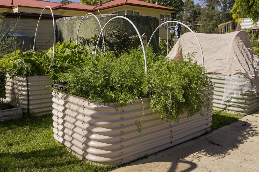 Grant has created an all-abilities veggie patch at his property in talune (Cygnet).